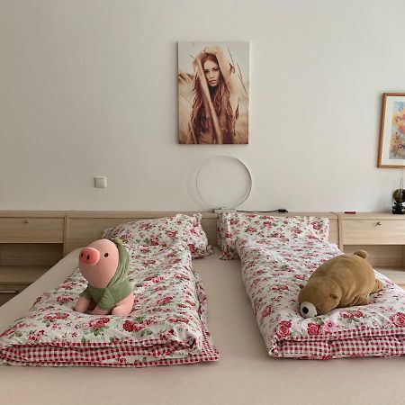 Ferienwohnung Annaberg-Buchholz Luaran gambar