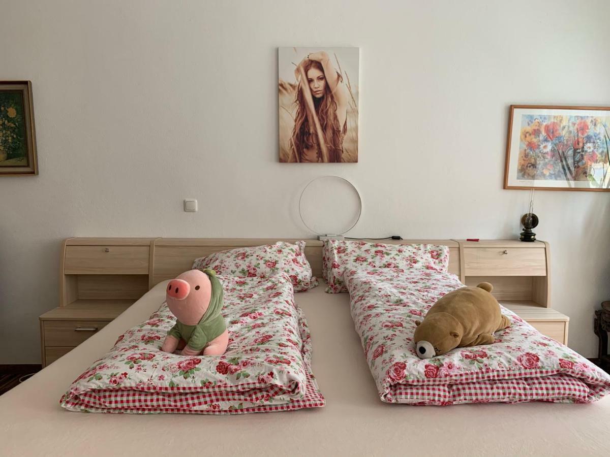 Ferienwohnung Annaberg-Buchholz Luaran gambar